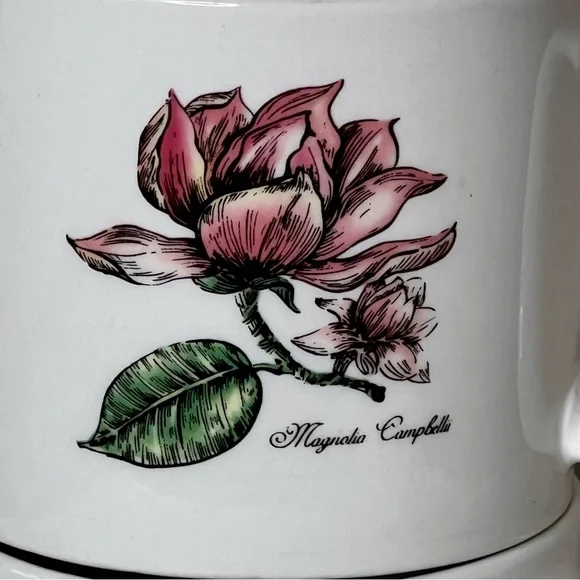 Tabletop unlimited Botanical Gardens Magnolia Floral Ceramic Mugs Set - Picture 7 of 7